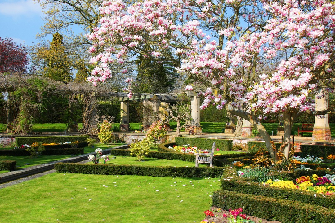 Jardin de style anglais