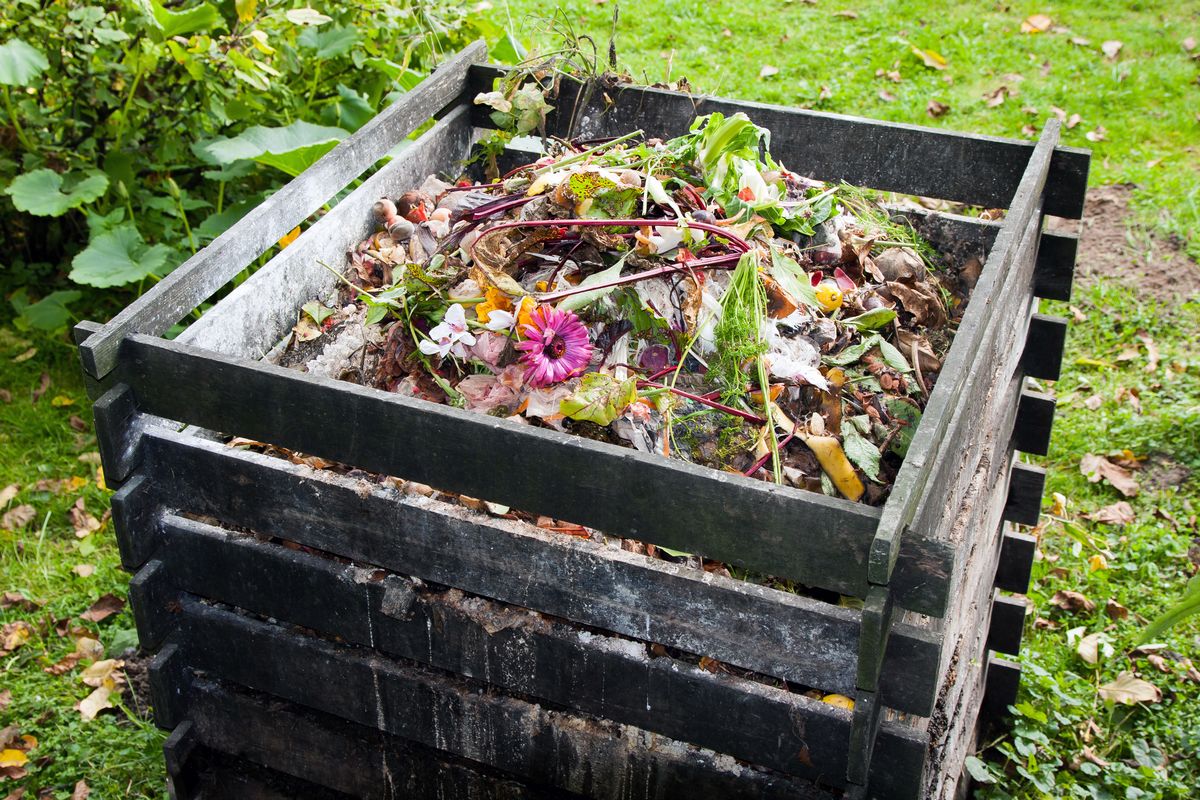 Compost de jardin