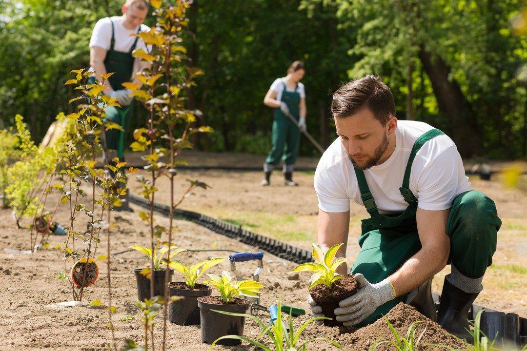 Paysagiste entrain d'entretenir un jardin