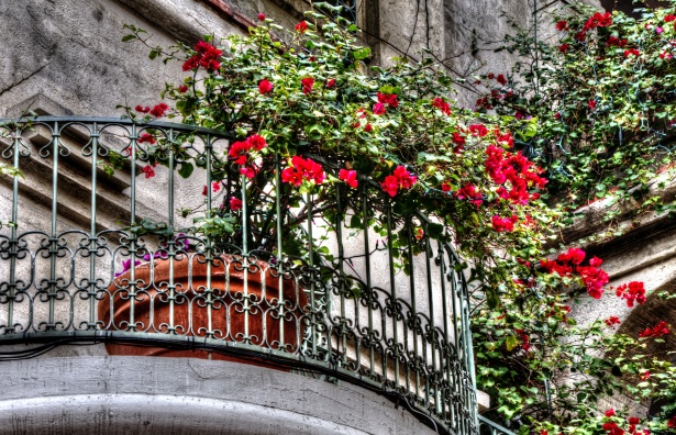 Balcon fleuri