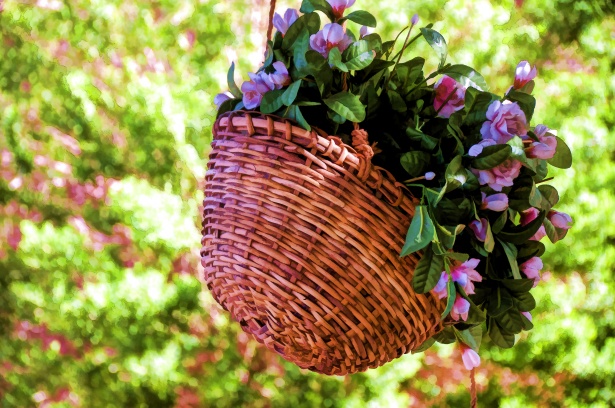 Fleurs dans pot suspendu