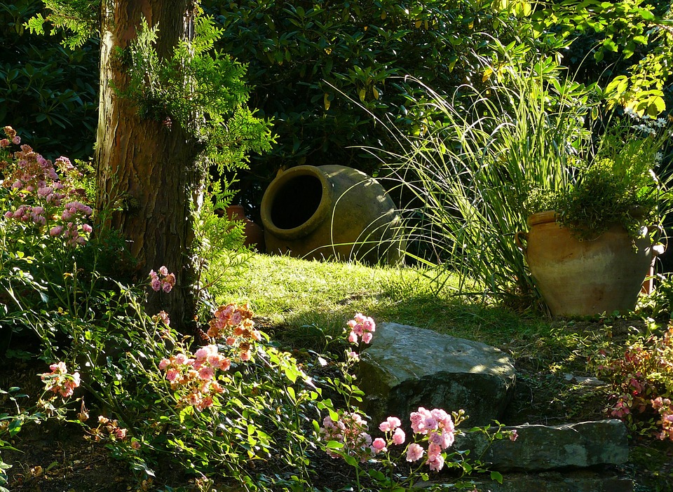Jardin aménagé