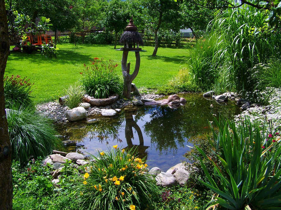 Un jardin aquatique avec bassin