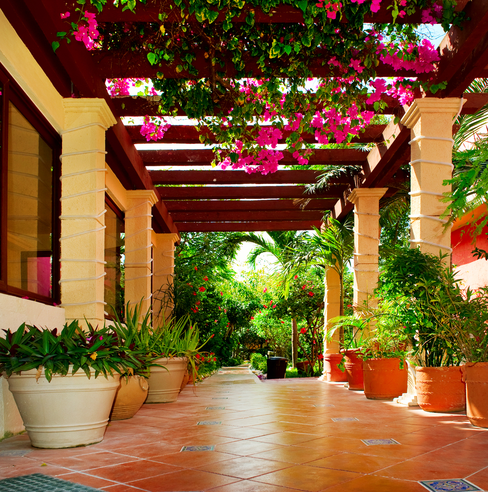 Un jardin ornemental