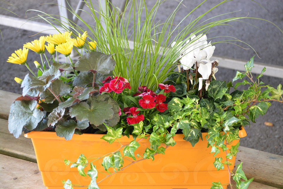 Jardinières extérieures