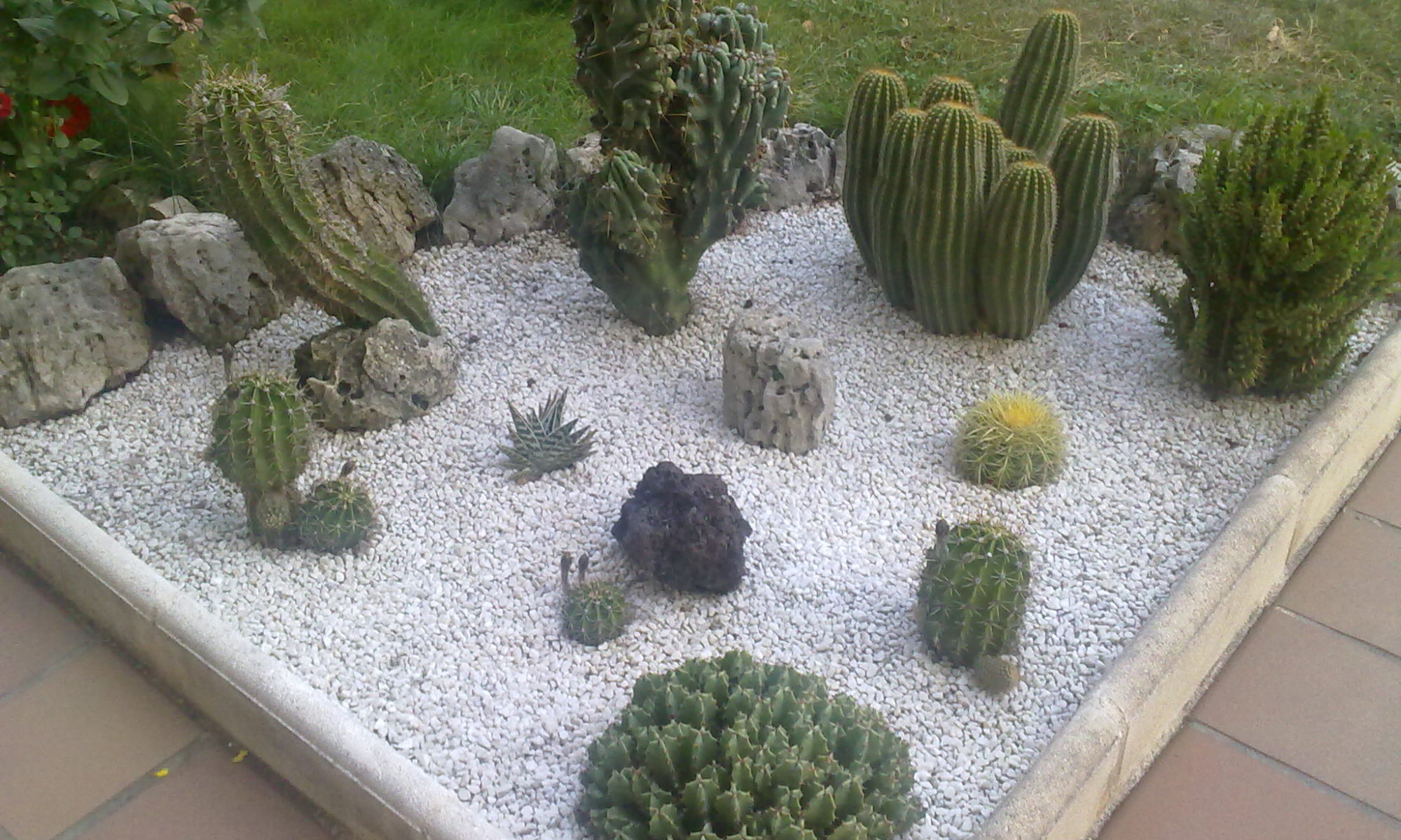 Jardin miniature extérieur