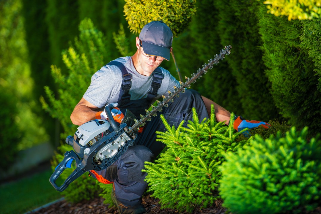 Paysagiste entrain de travailler
