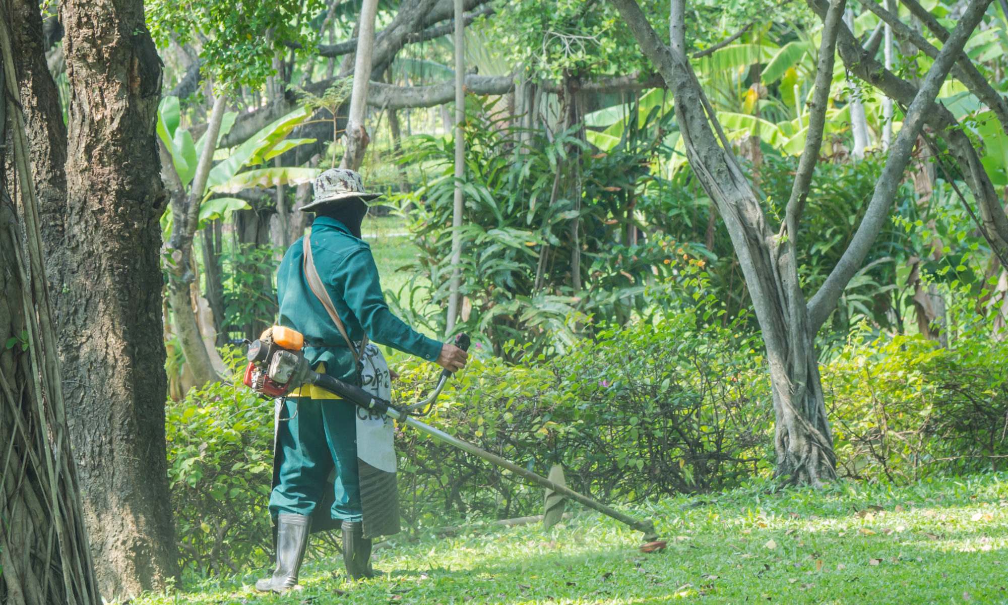 Un paysagiste dans un jardin public
