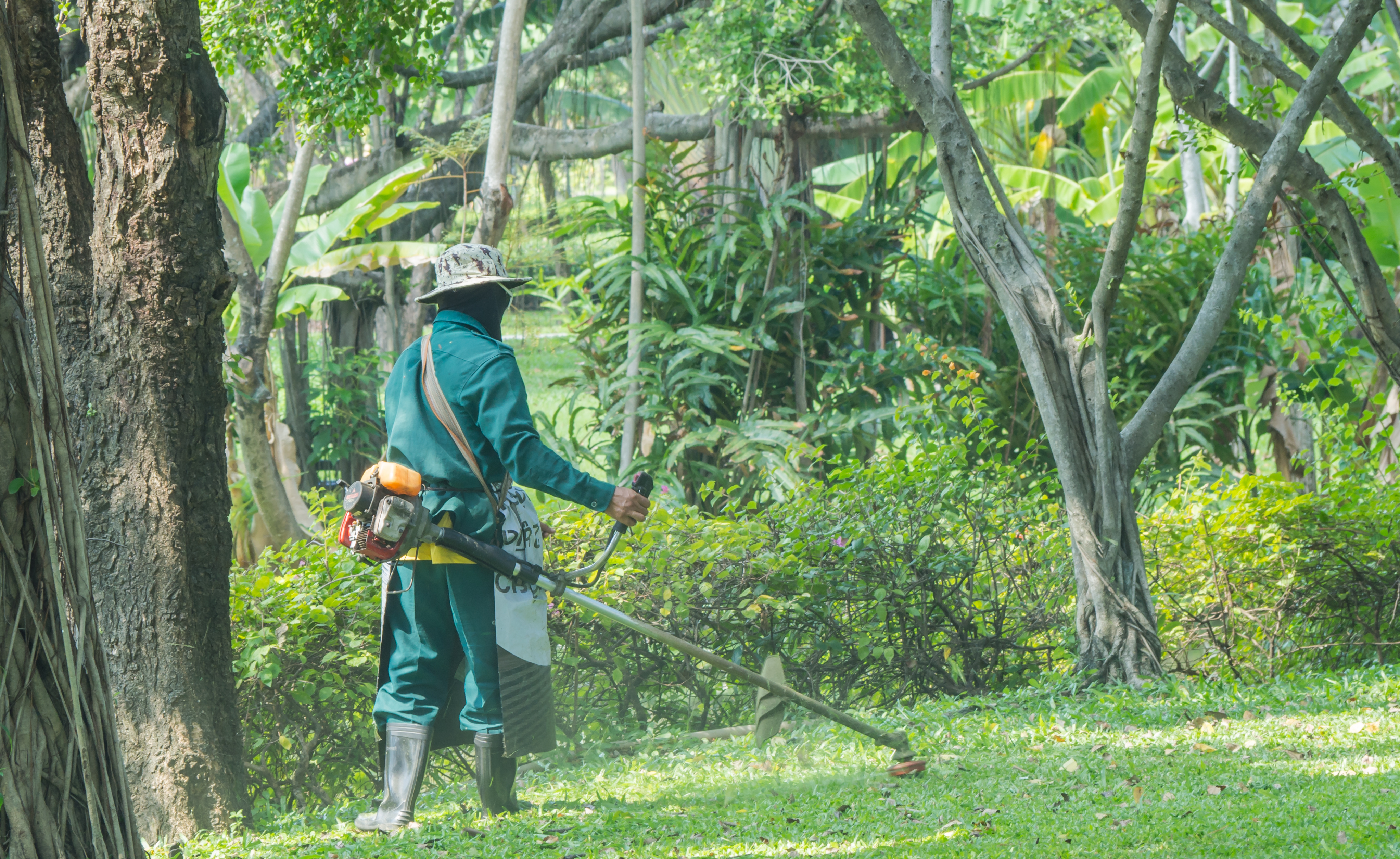 Un paysagiste dans un jardin public