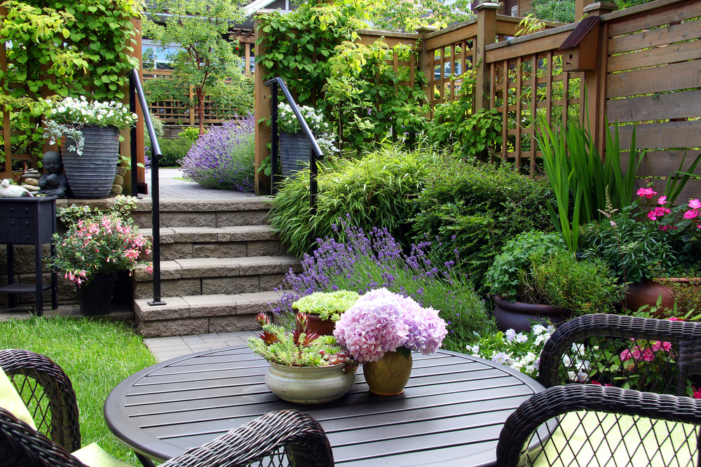 Petit jardin privatif en ville