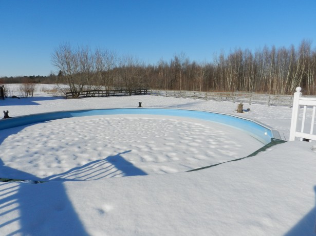 Piscine sous la neige