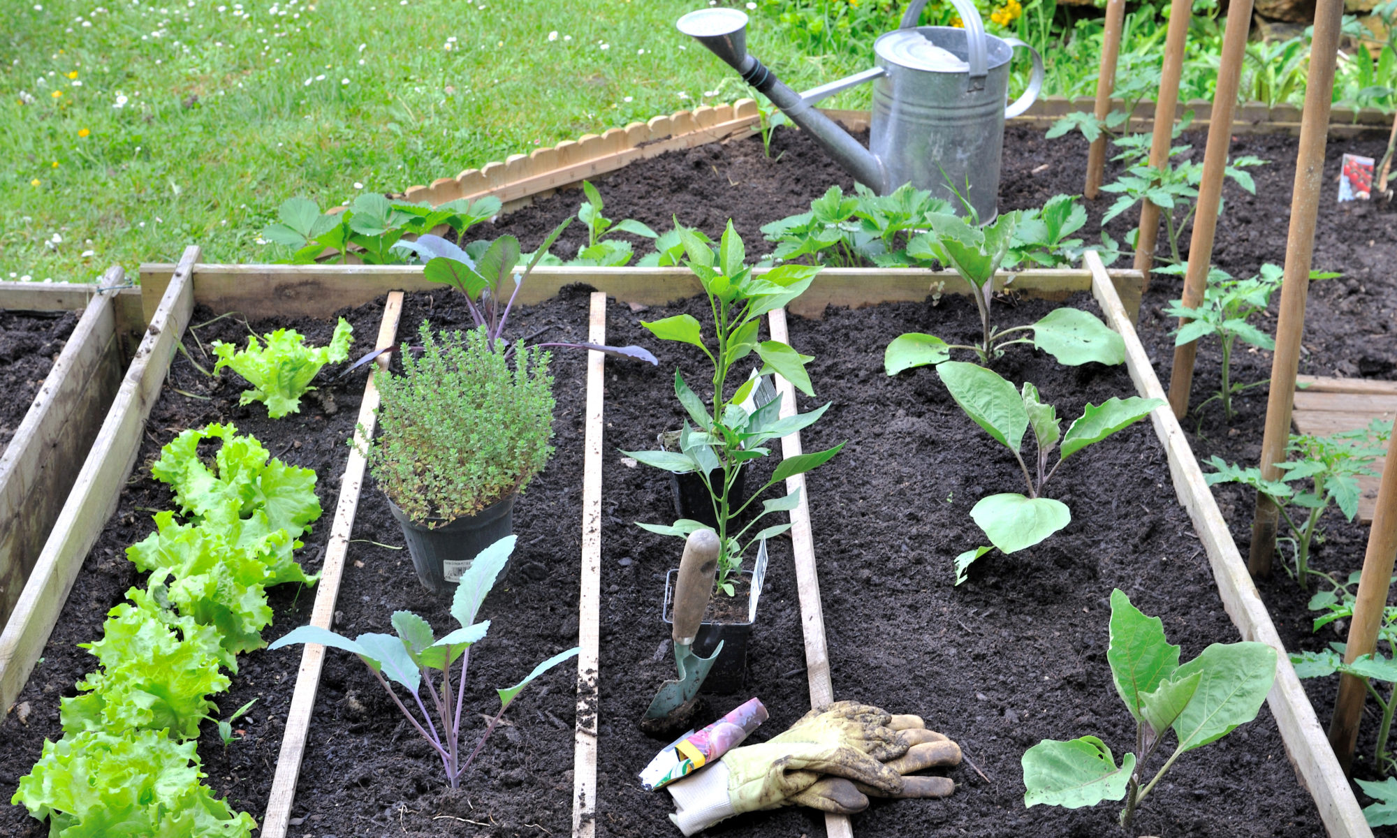 Potager en carré modulable