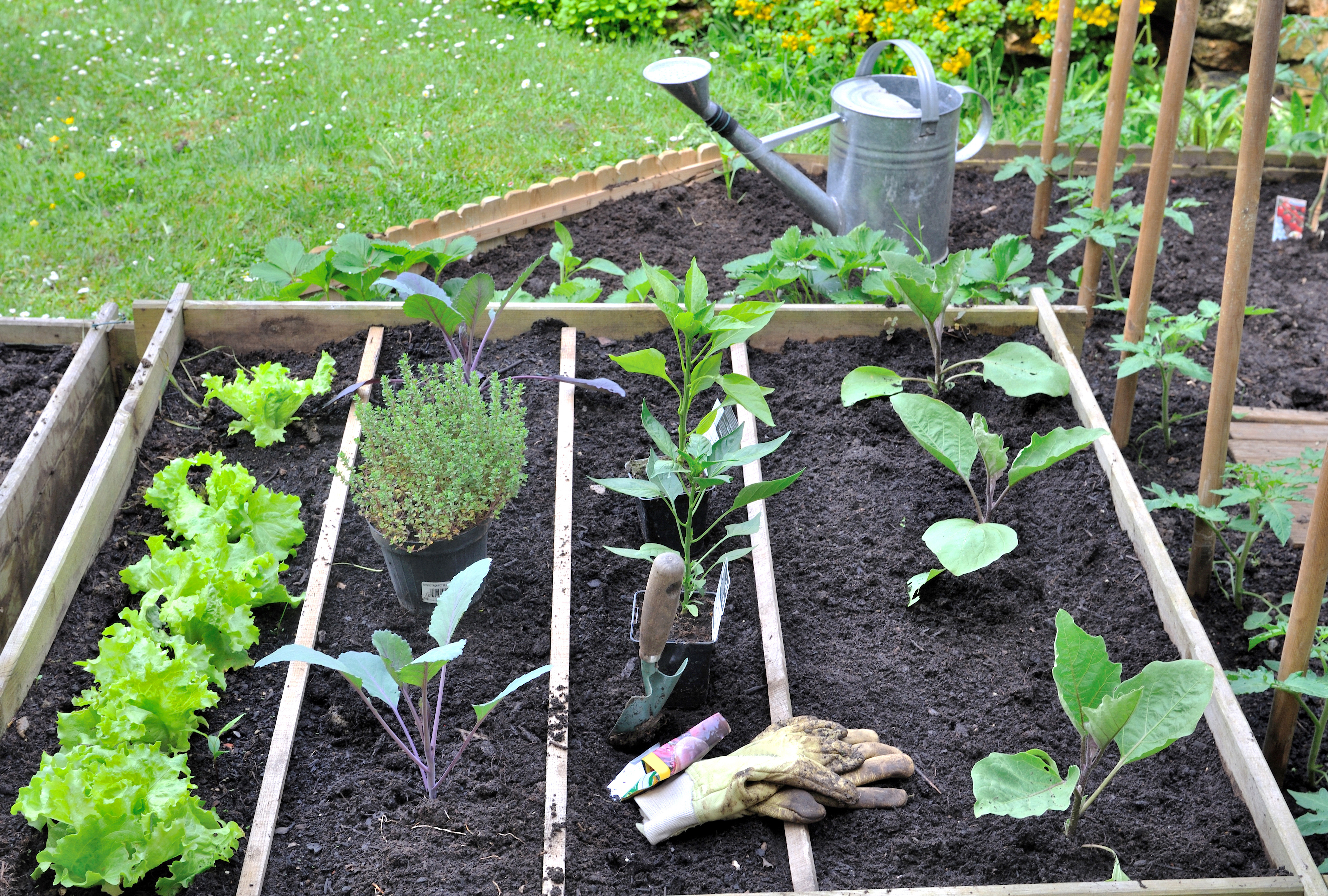 Potager en carré modulable